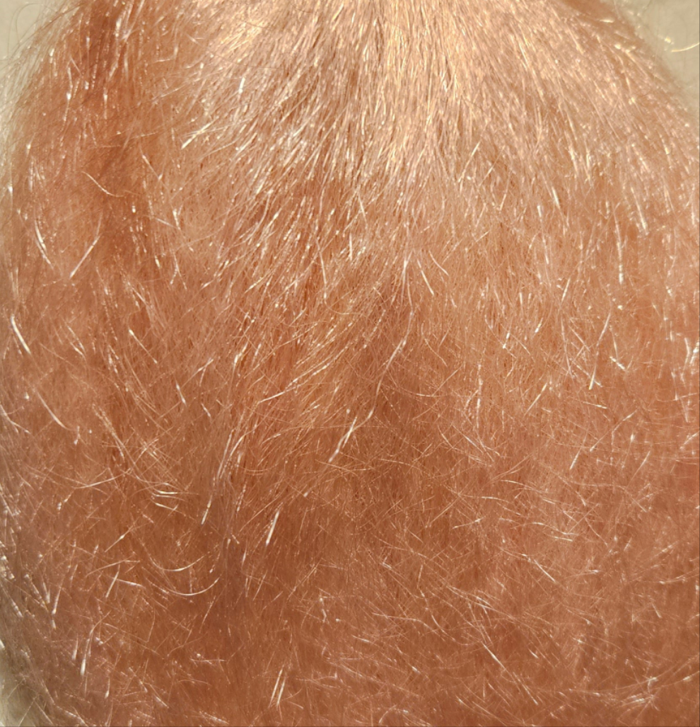 Rastrafri Freed'm Silky Braids
